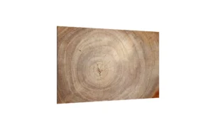 LAVAGNA IN VETRO MAGNETICA CON STAMPA MOTIVO ANELLI ALBERO 90X60